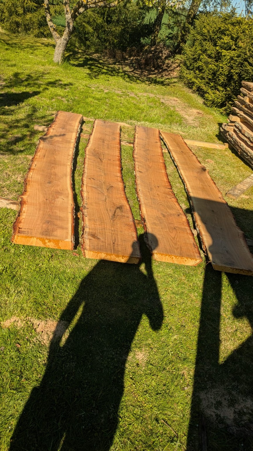 Baumkantenbohlen im Garten