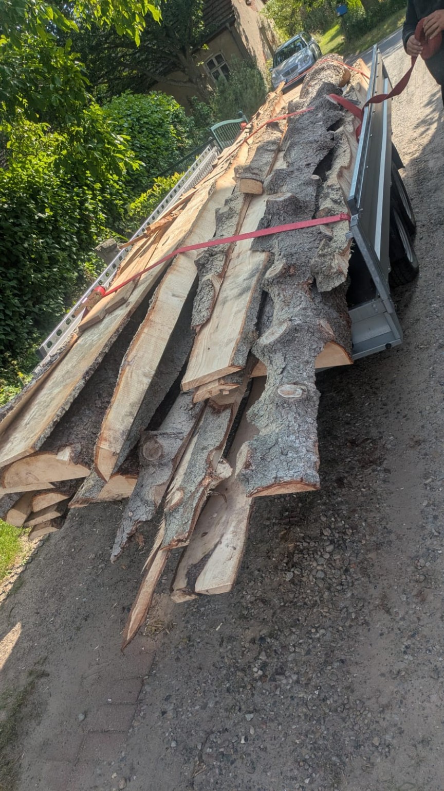 Lange Holzstücke auf einem Anhänger