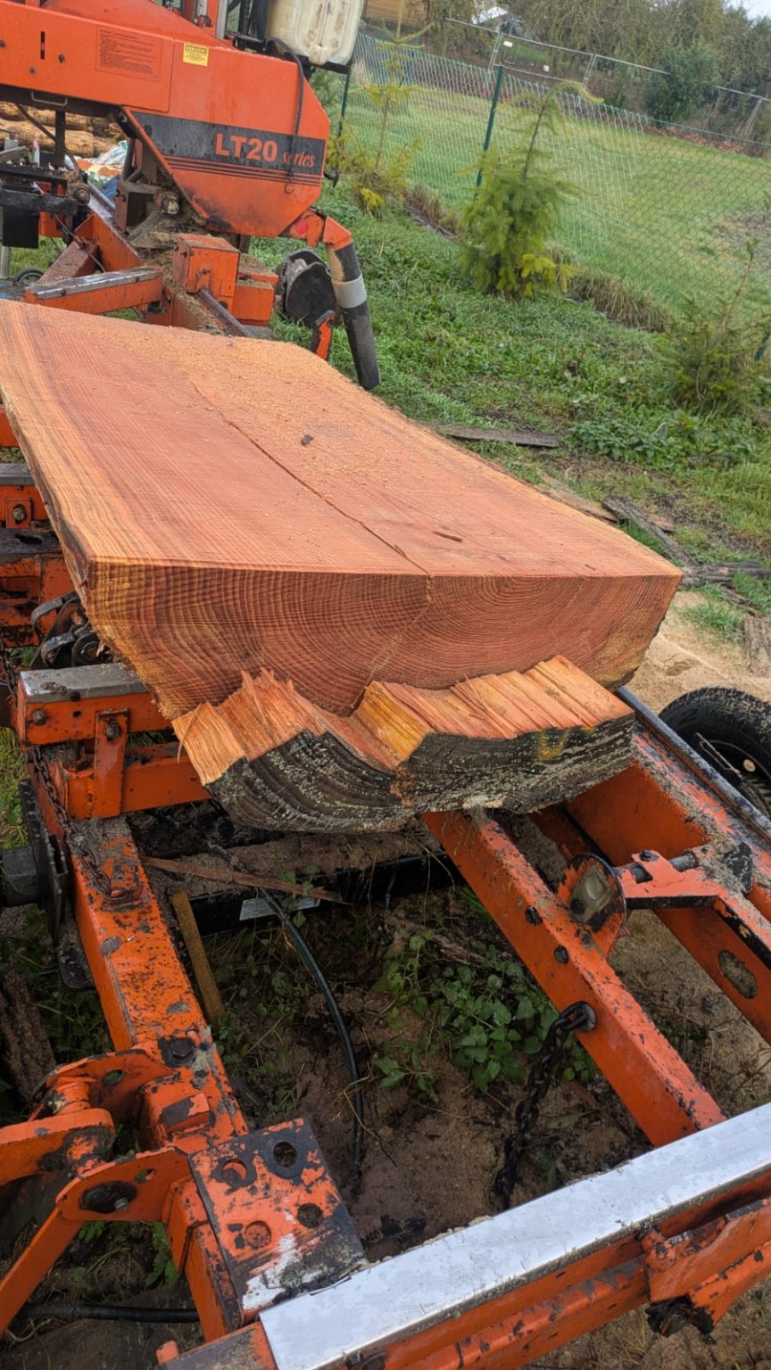 Einschnitt auf dem Sägewerk